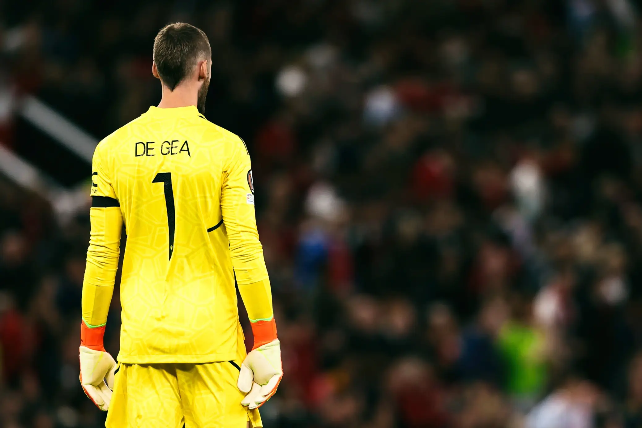 David de Gea. (Man Utd)