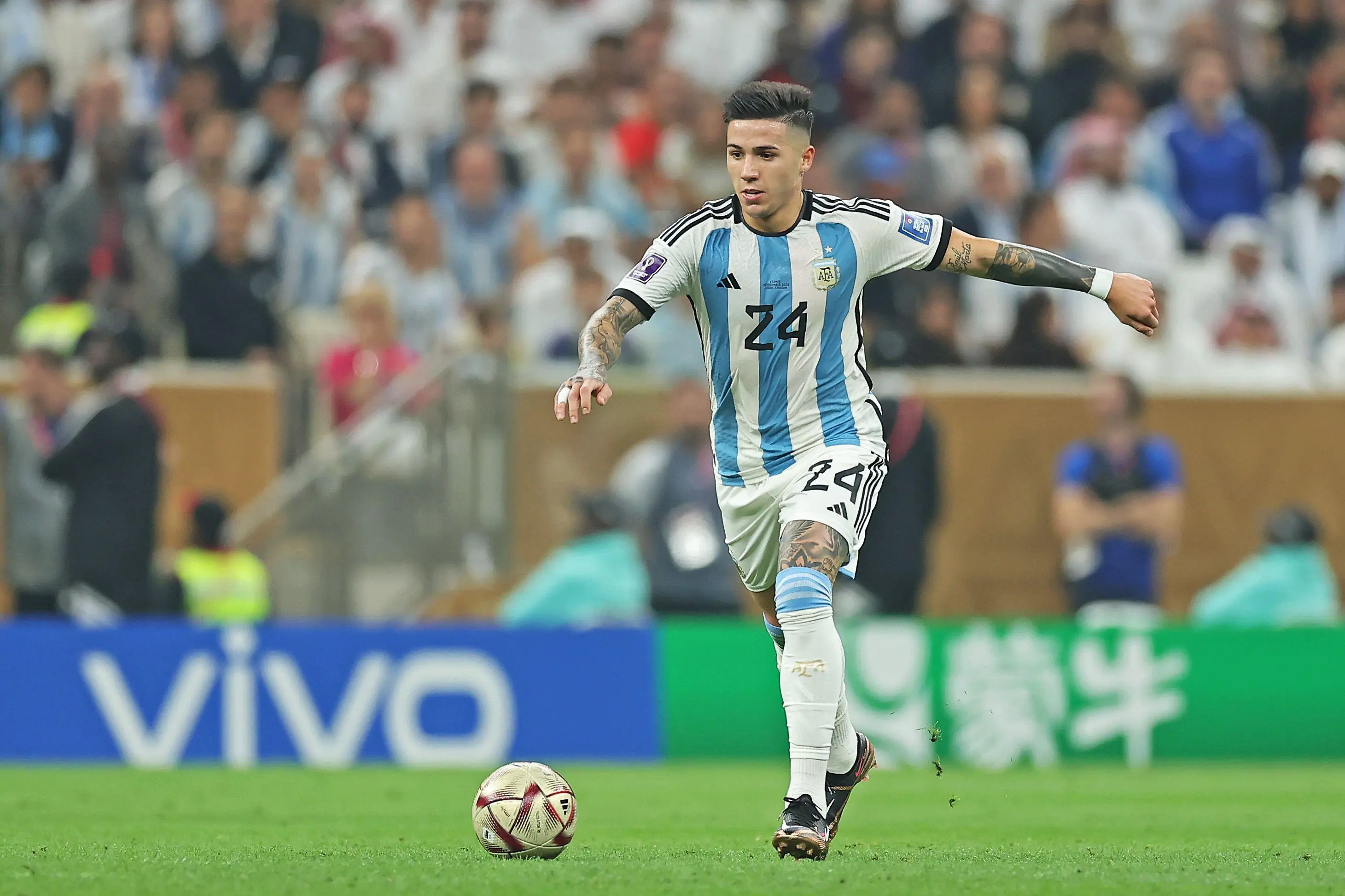 Enzo Fernandez in action for Argentina. Image: Alamy 