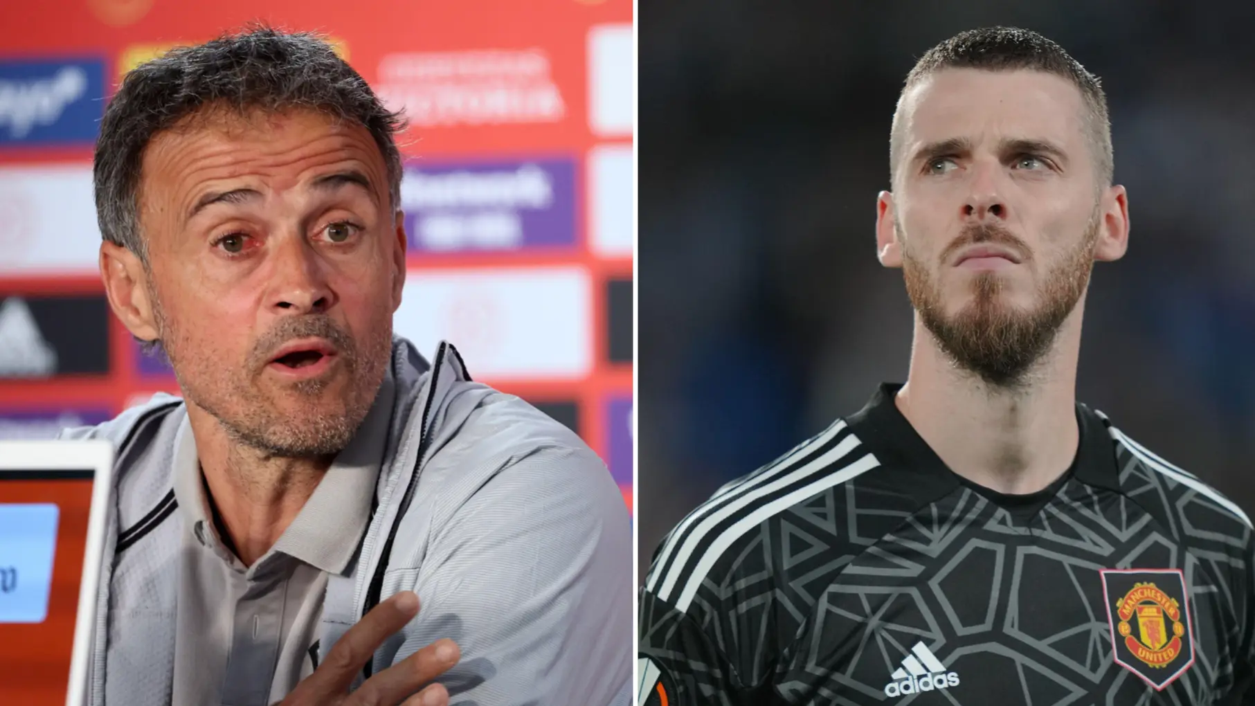 Spanish FA congratulated David de Gea on his international retirement despite him having no intention to quit