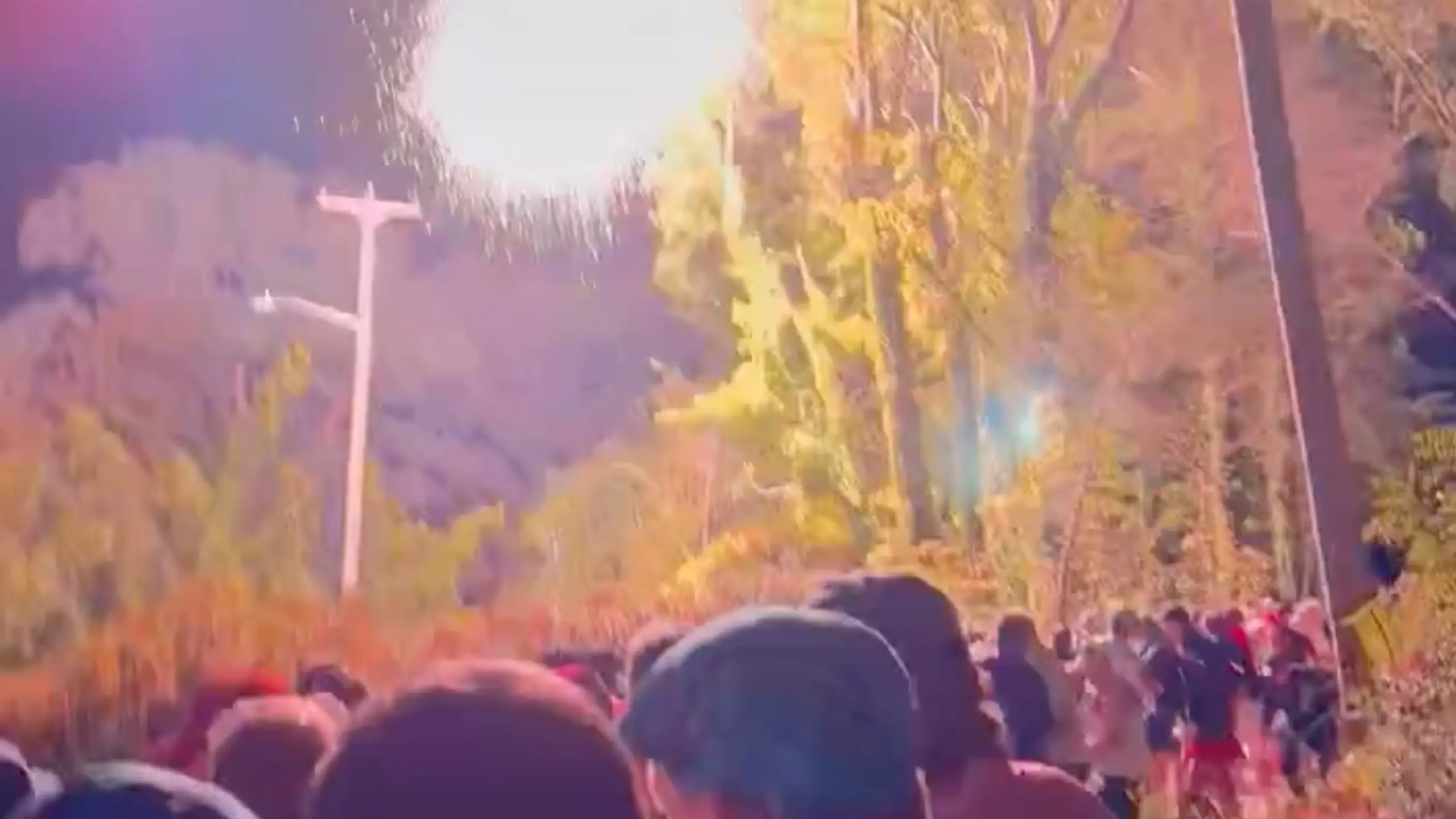 Twitter/@NicholasTeigen