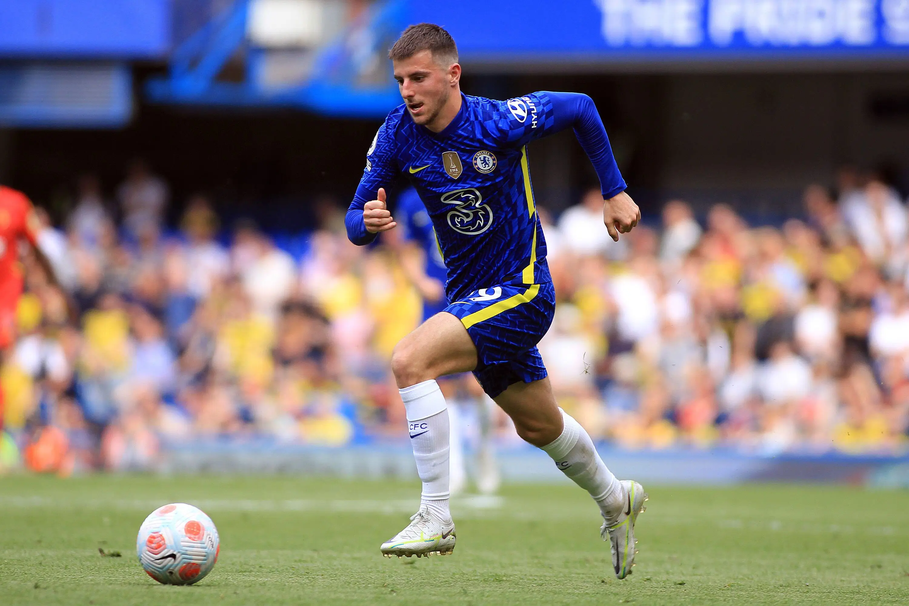 Andrew Orchard sports photography / Alamy