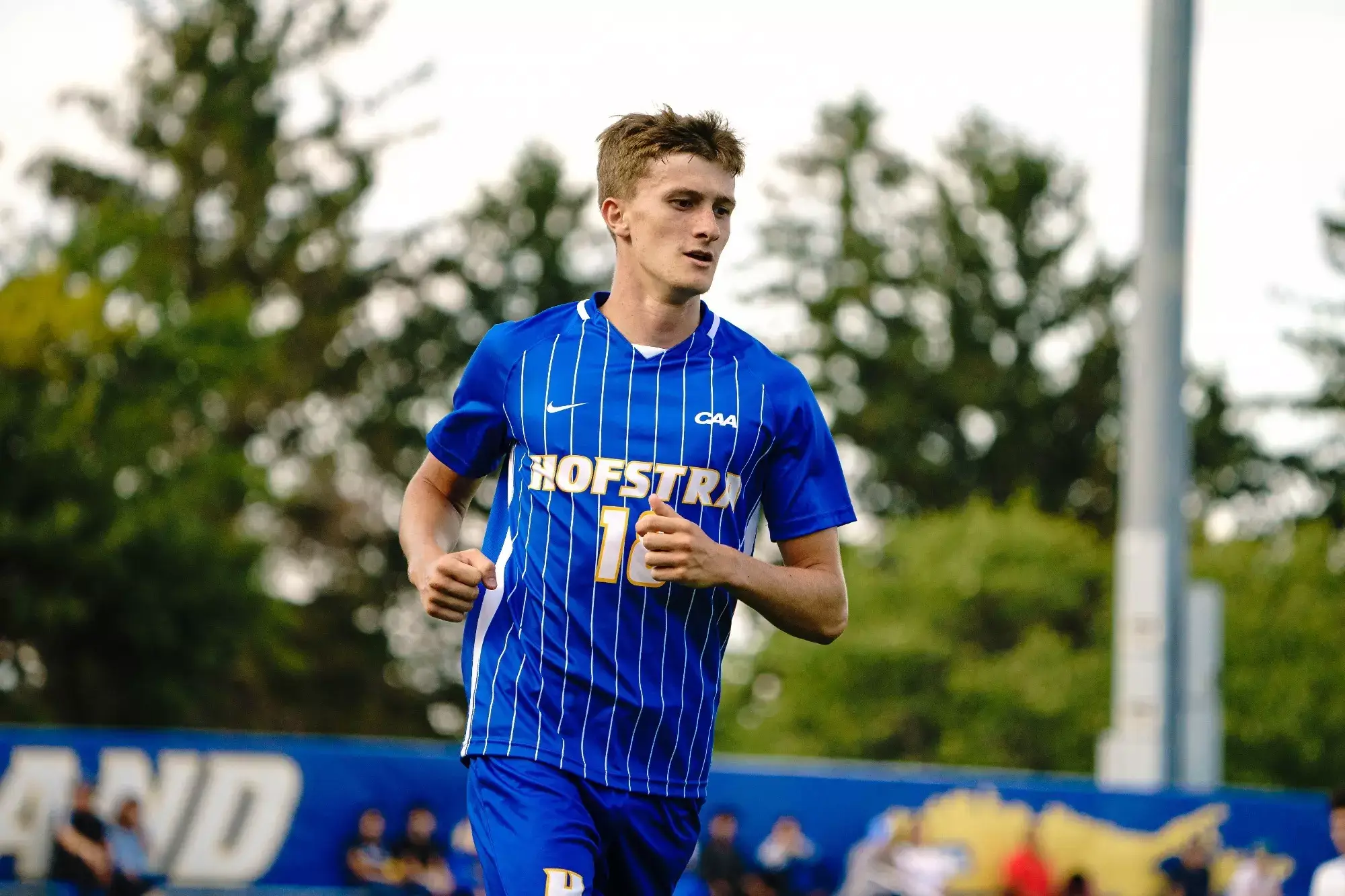 Image: Hofstra University