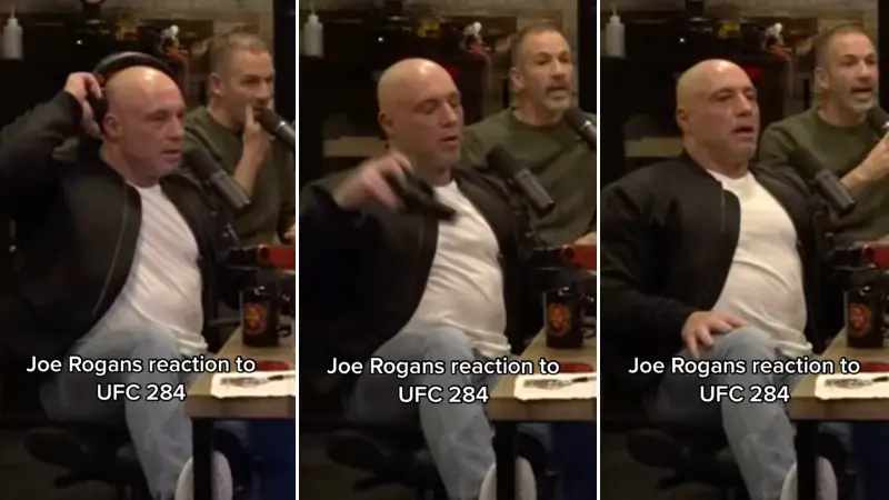 Joe Rogan Experience