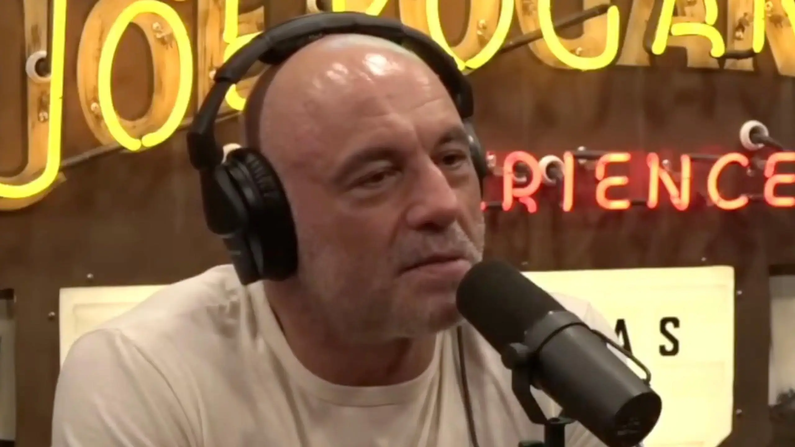 Joe Rogan Experience 