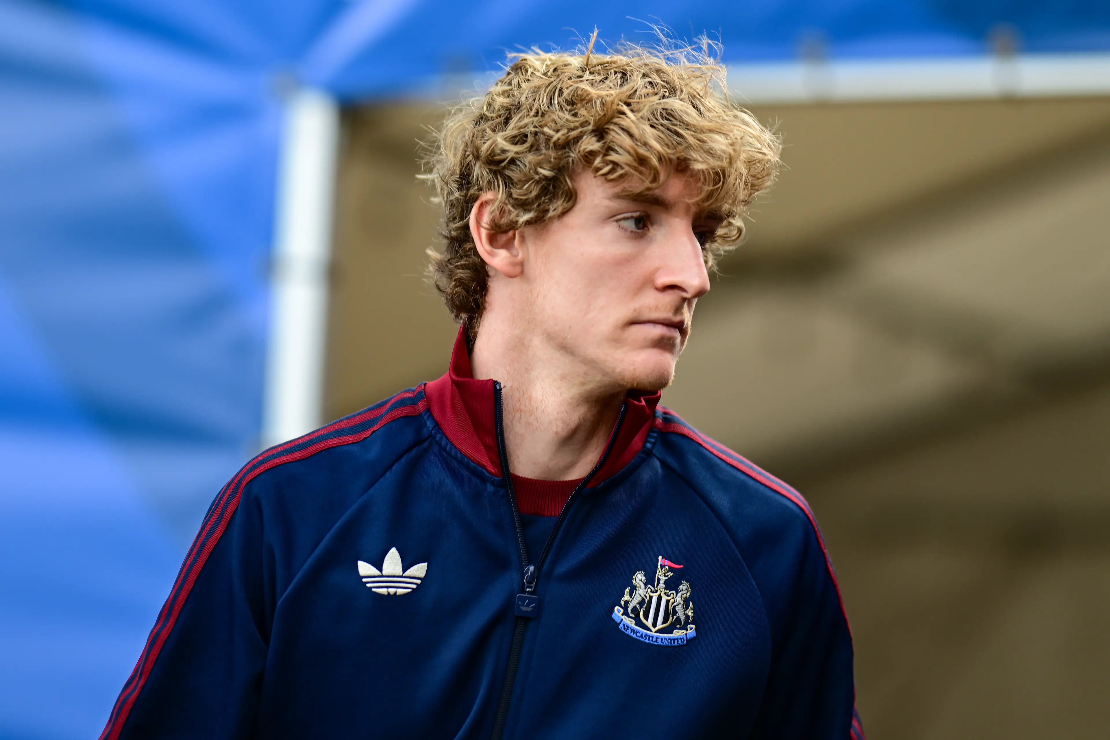 Bayern are huge admirers of Gordon. Image: Getty