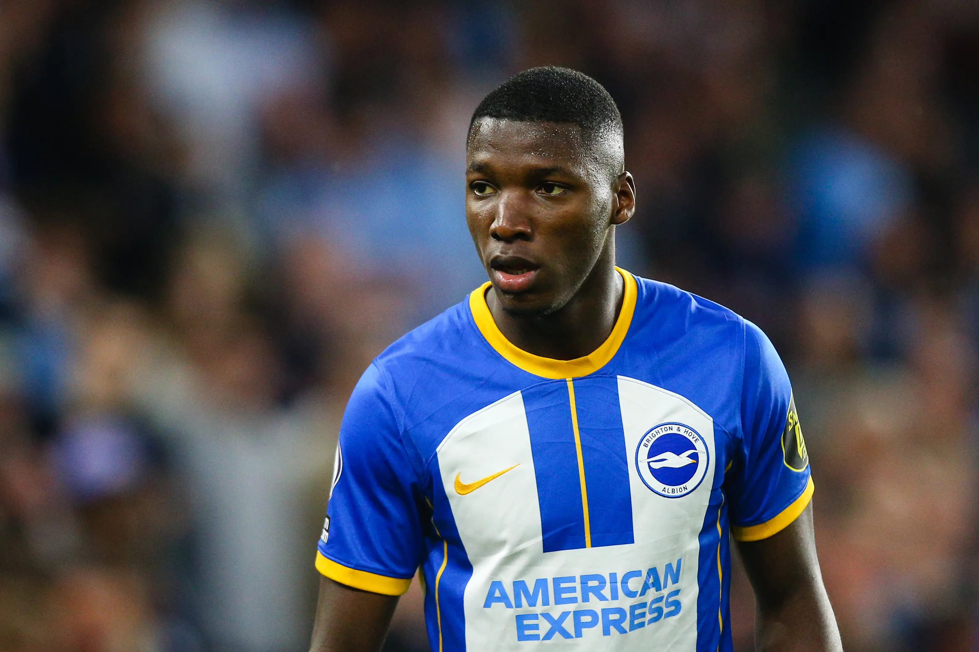 Moises Caicedo in action for Brighton. Image: Getty
