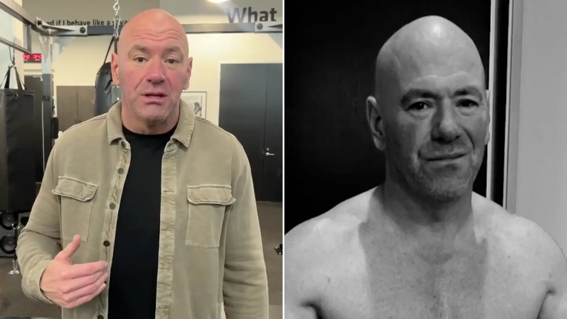 Dana White