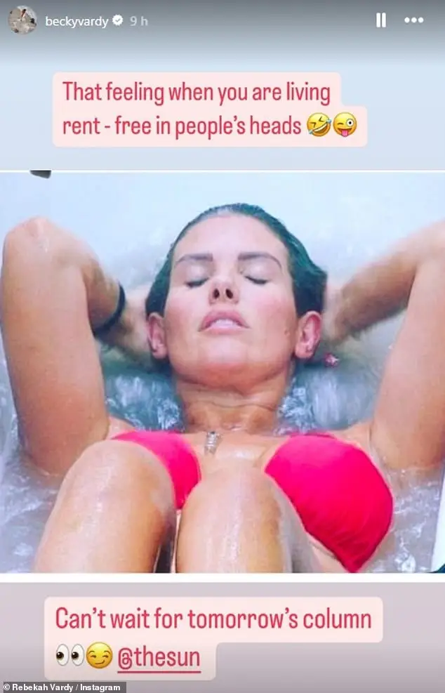 Rebekah Vardy has hit back on social media. Image