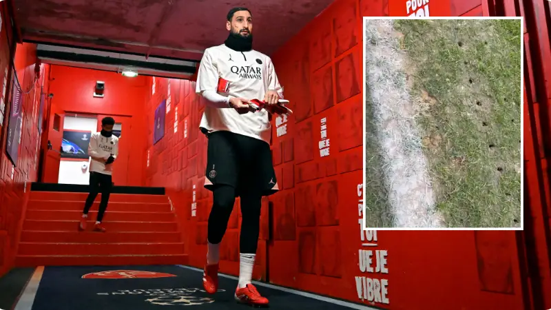 @OLIVETALLARON / Twitter