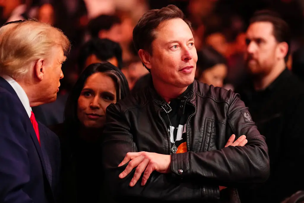 Musk has regularly been seen attending sporting events such as the UFC. (Image: Getty) 