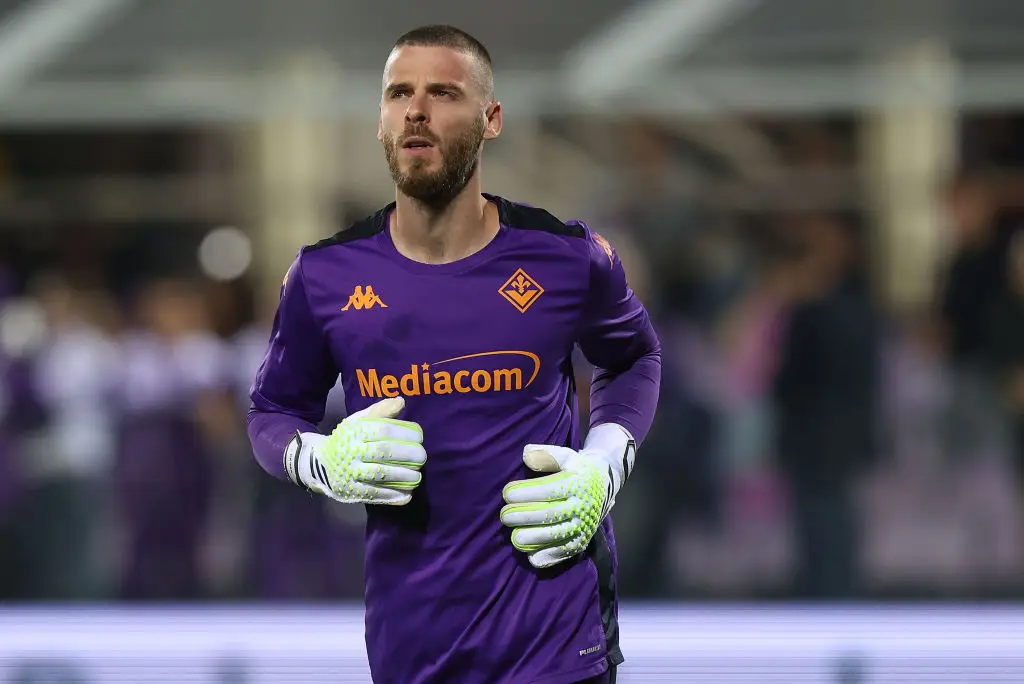 David de Gea joined Serie A side Fiorentina in August. (Image: Getty)