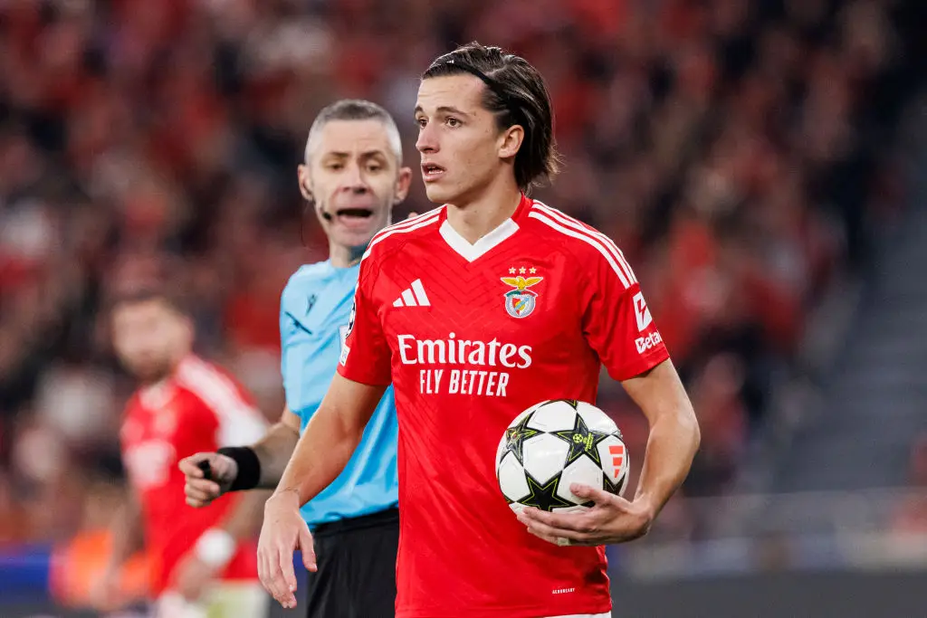 Alvaro Fernandez has impressed at Benfica (Credit:Getty)