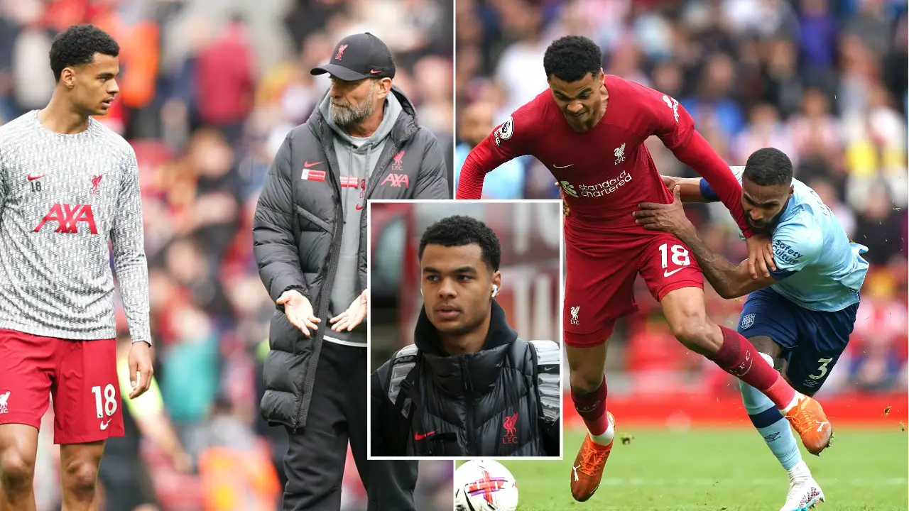 Alamy / Chris Stading/Andrew Orchard sports photography/Alamy Live news