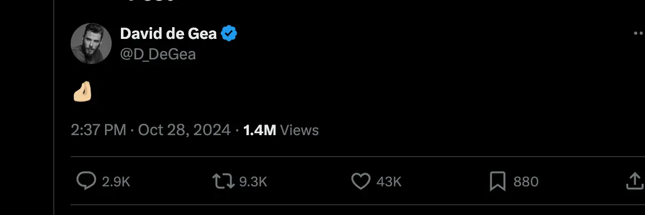 David de Gea's cryptic social media post (Image: X/D_DeGea)