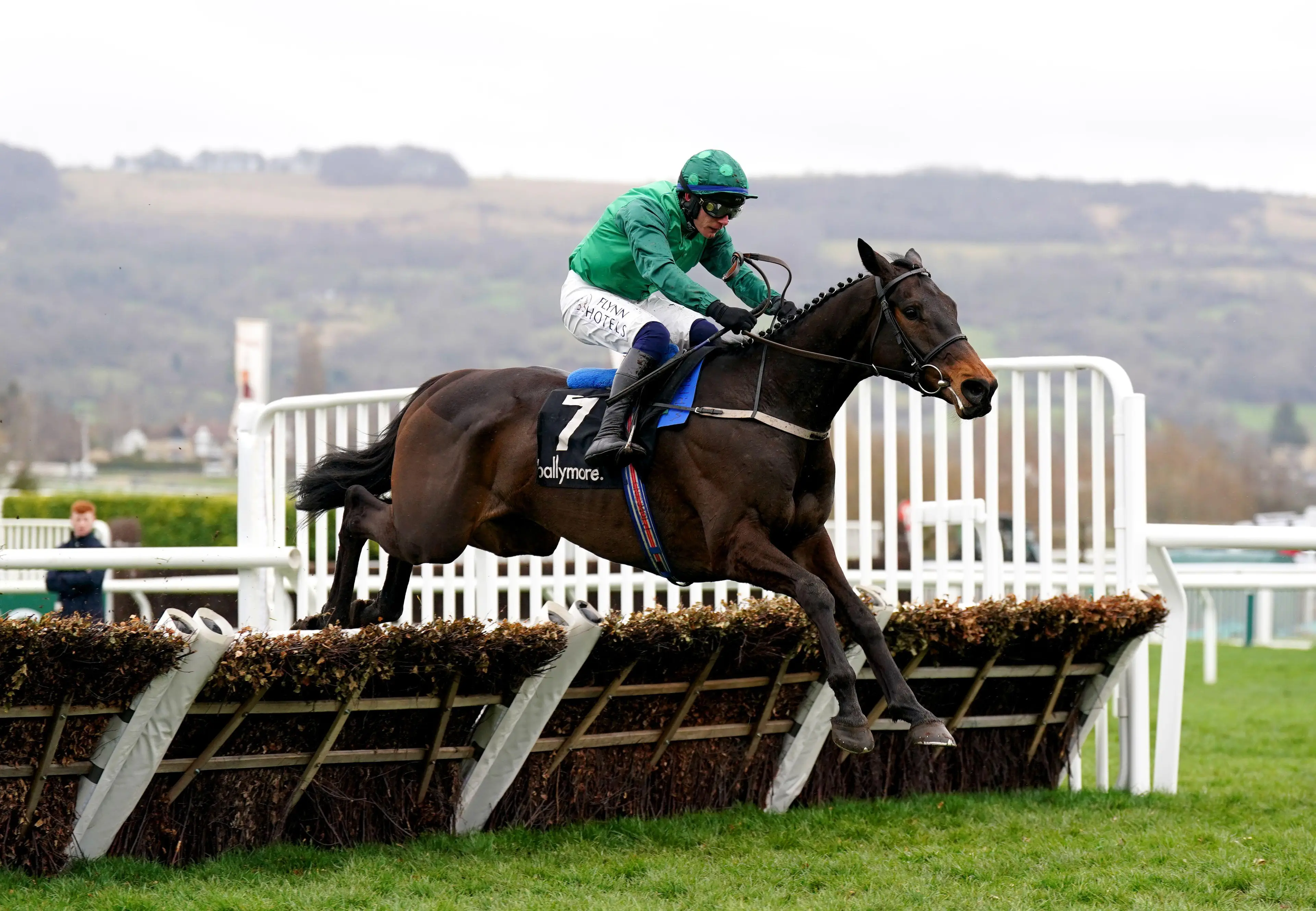 Impaire Et Passe won the Ballymore Novices' Hurdle. Image: Alamy