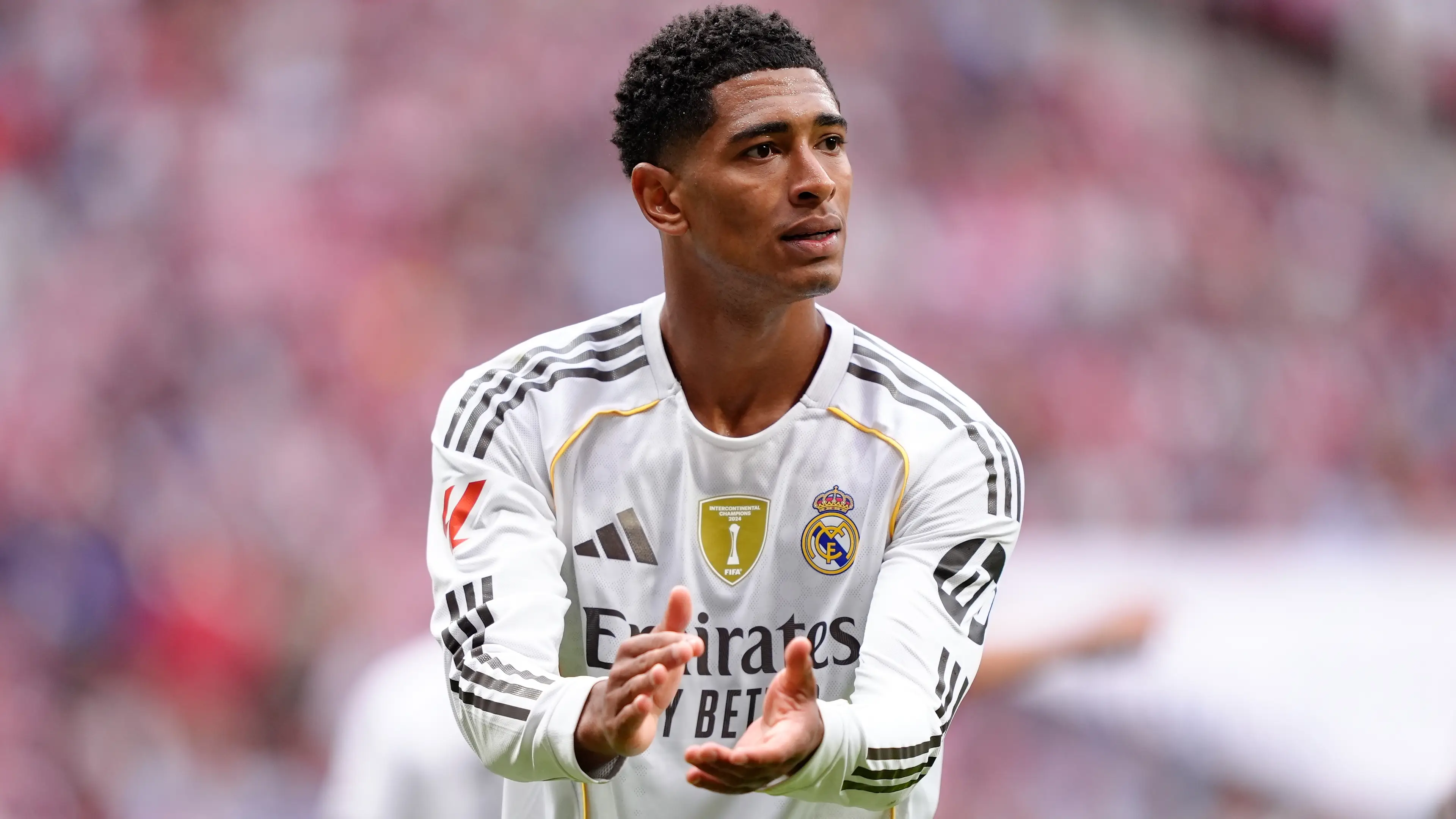 SOPA Images / Contributor via Getty