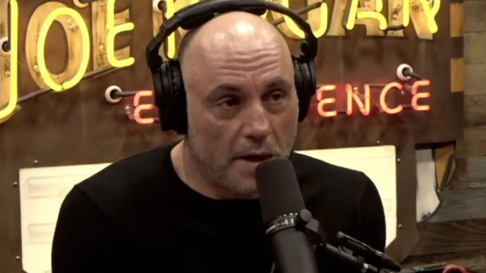 Joe Rogan Experience/YouTube