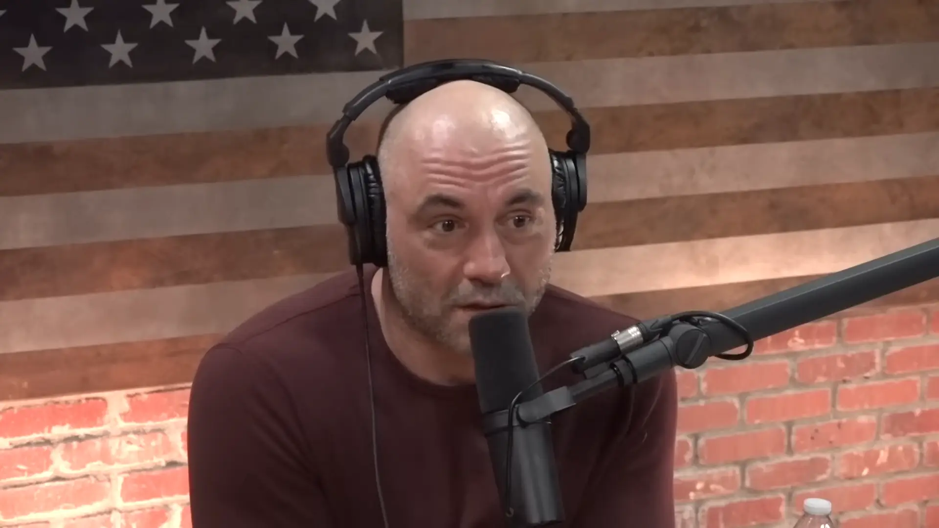 Joe Rogan Experience via YouTube