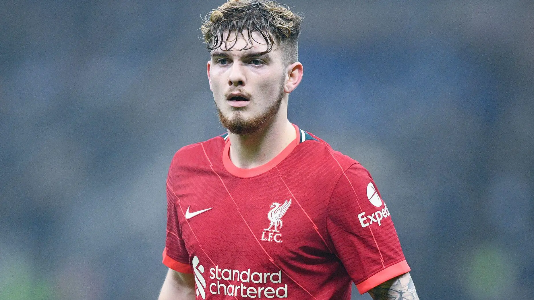 "I Really Expect" - Former Red Makes Harvey Elliott Prediction Liverpool Fans Will Love