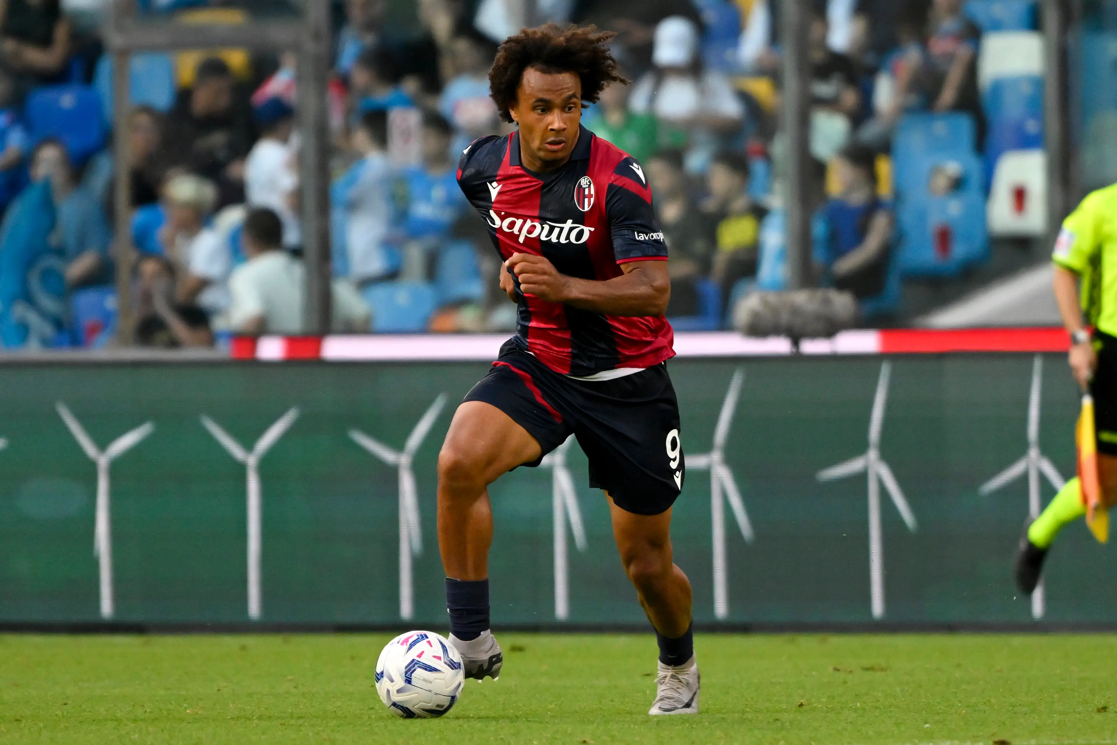 Joshua Zirkzee in action for Bologna. Image: Getty 