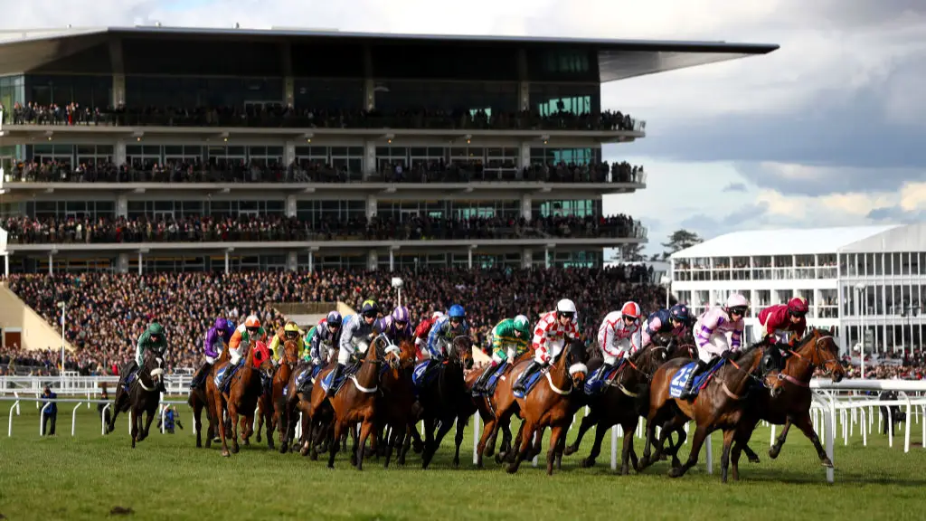 Getty/Michael Steele 