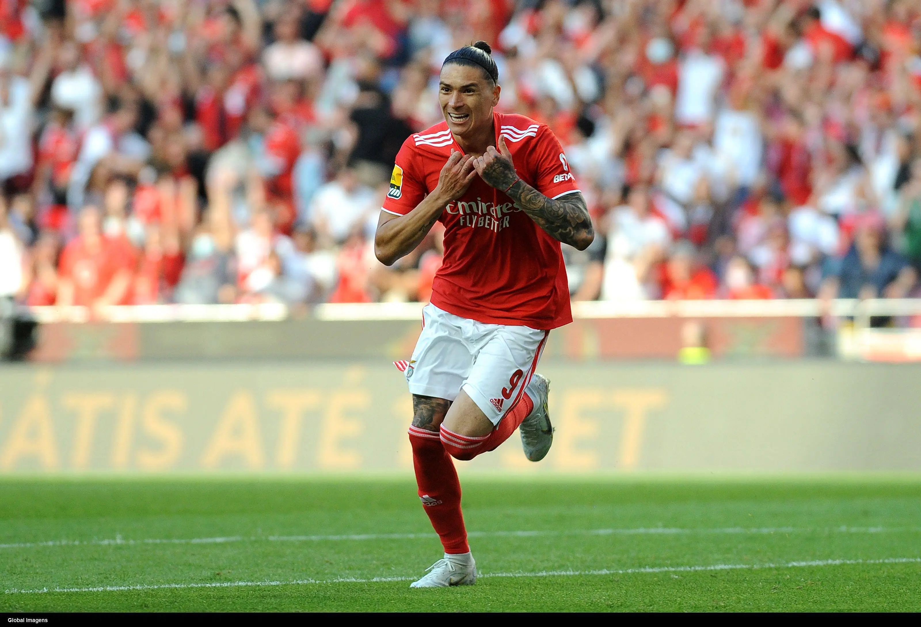 Nunez is expected to sign for Liverpool. Image: Alamy