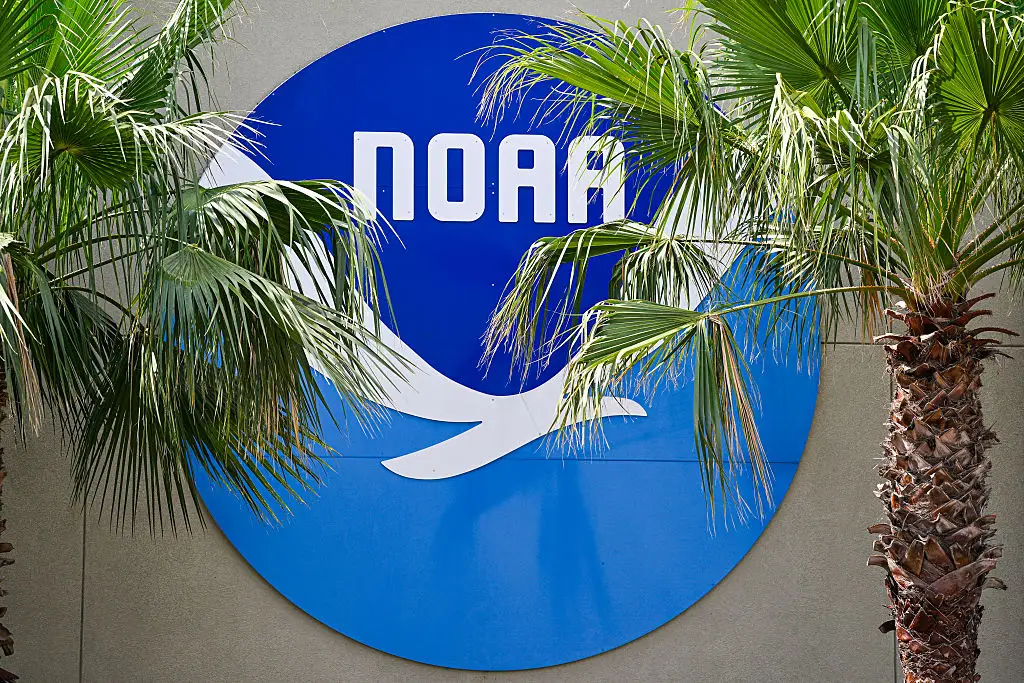 Former NOAA scientists crowdfunded $280,000 in order to set up an independent website to save vital climate data (Miguel J. Rodriguez Carrillo/AFP via Getty Images)