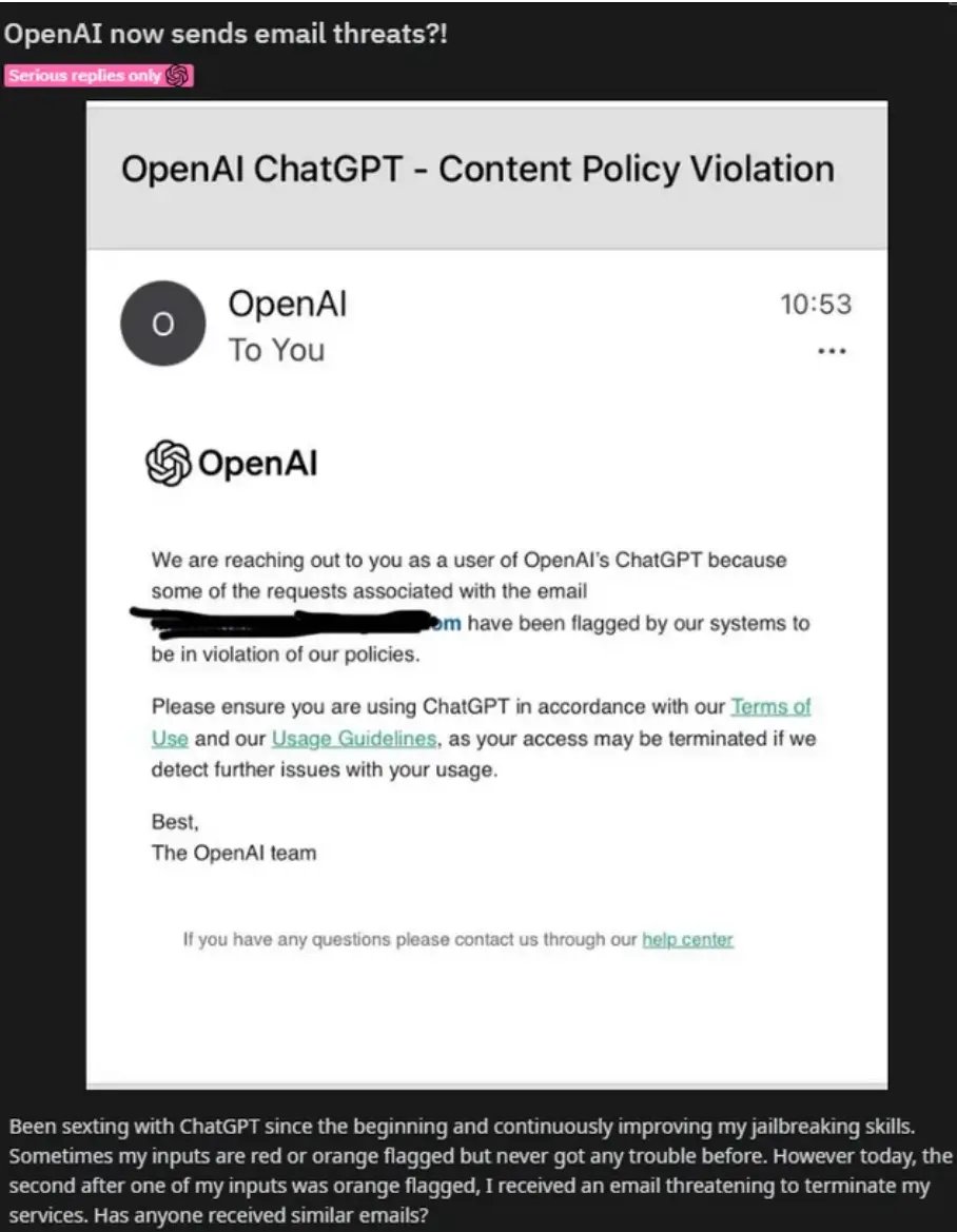 The person was sent a warning by OpenAI (Reddit)