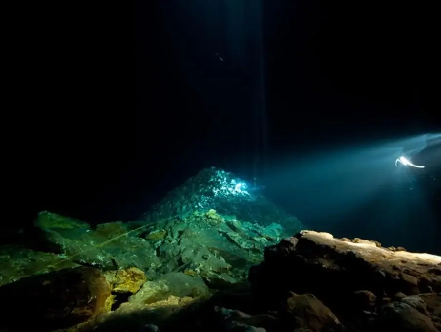 NeighborEnabler/Reddit