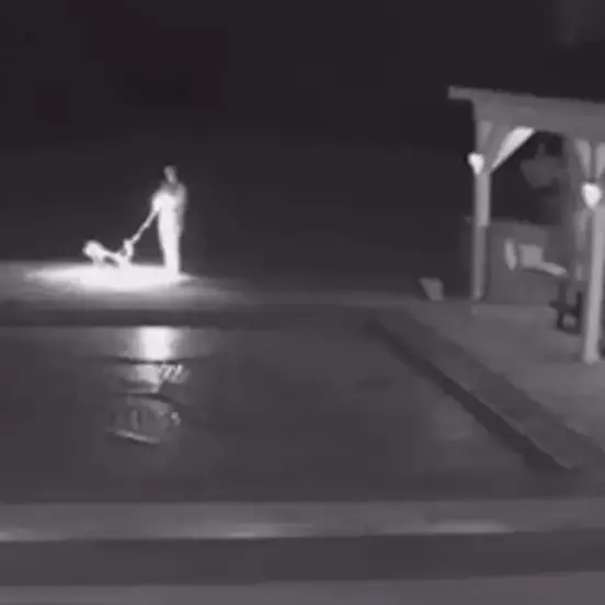 Credit: X/@CreepyOrg