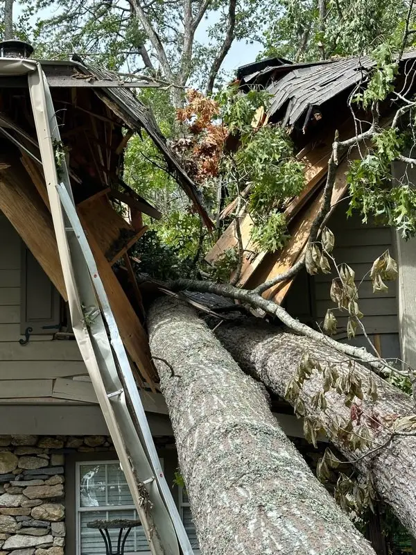 The YouTuber lost his entire retro gaming collection in the hurricane (X/@lazygamereviews)