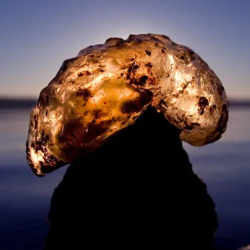 Strange glowing orange 'blob' discovered in river leaves scientists baffled as it begins to spread rapidly