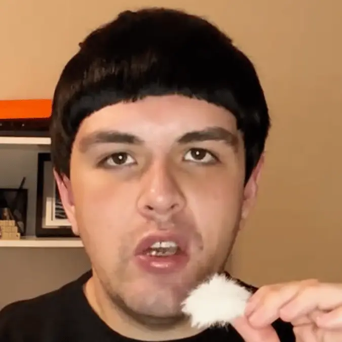 anthonypsychosissurvivor / TikTok