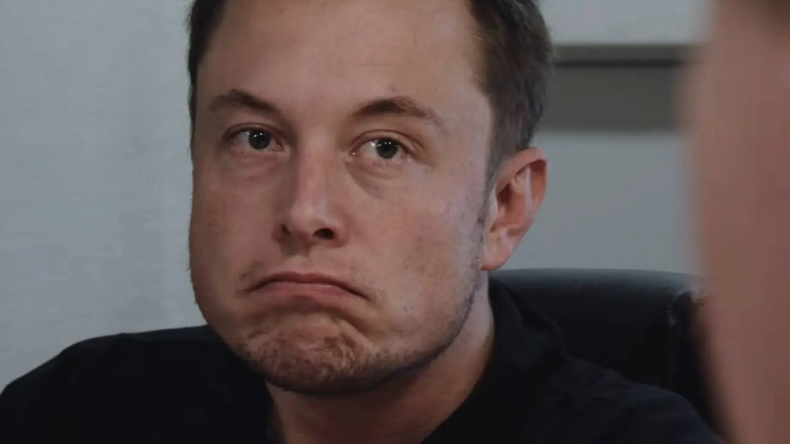 Musk is described as a buzzy thriller ( Bleecker Street)