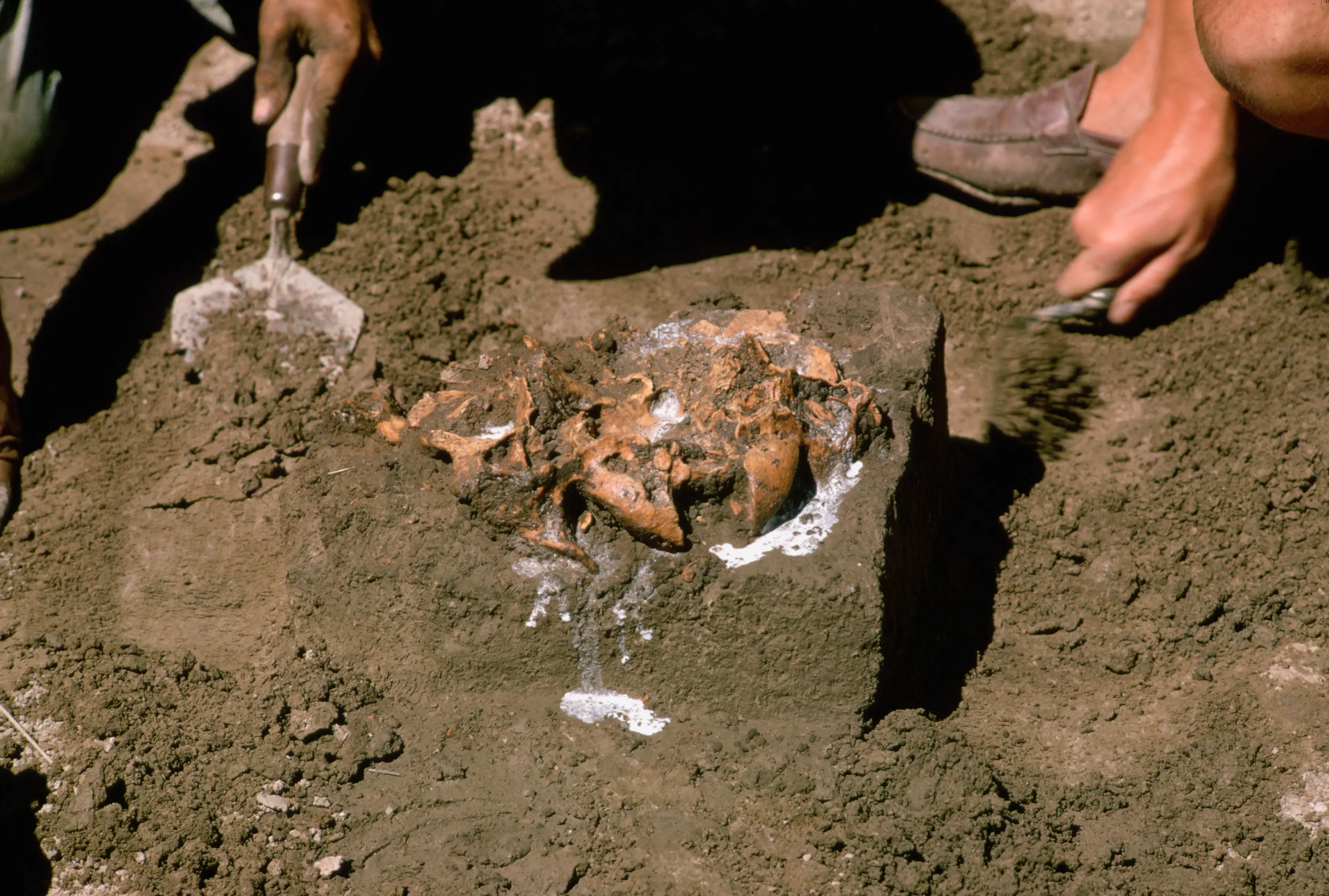 Lowell Georgia / Getty