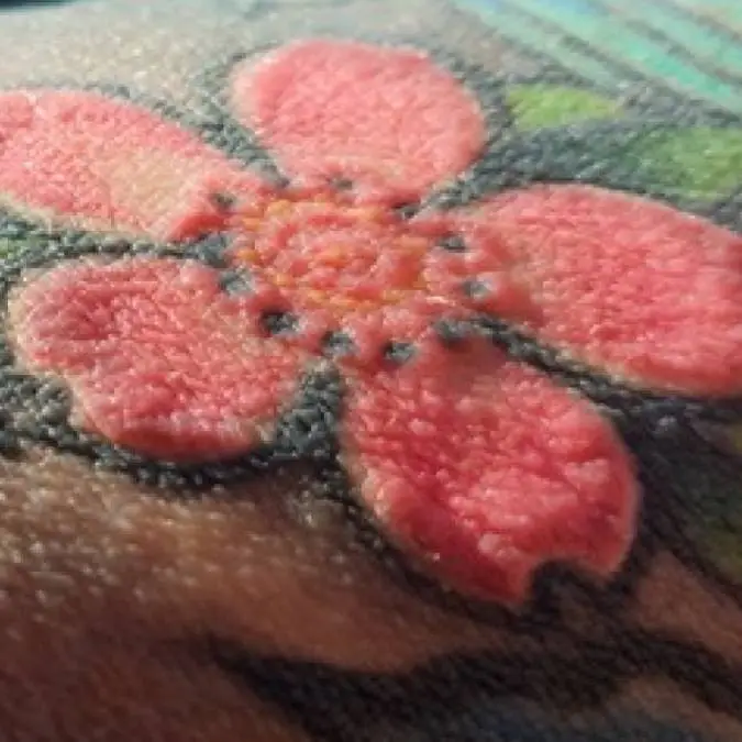 Wroclaw Medical University / Clinics and Practice