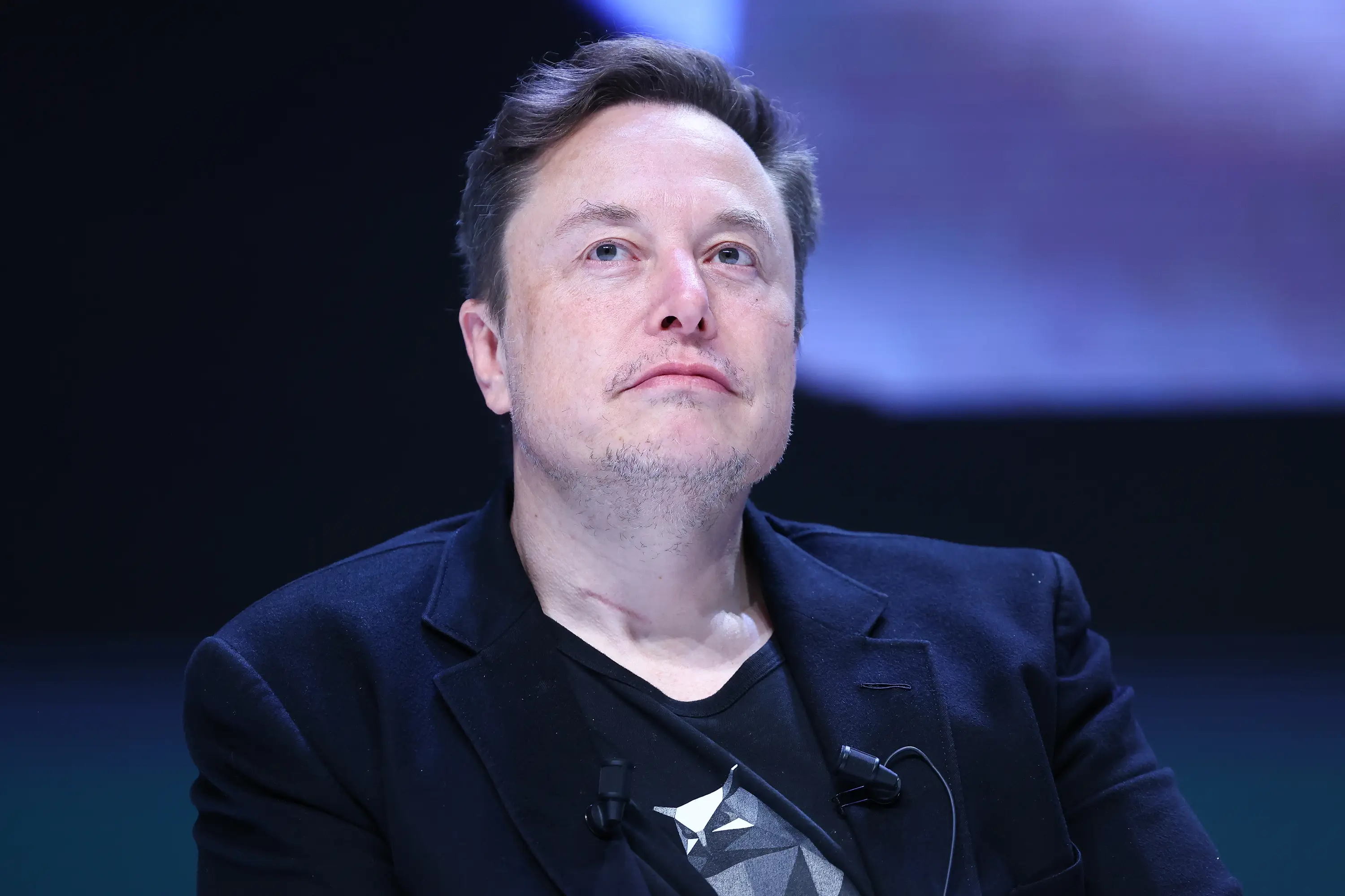 The Tesla mogul has made comments about RJ Scaringe over the years (Marc Piasecki/Getty Images)