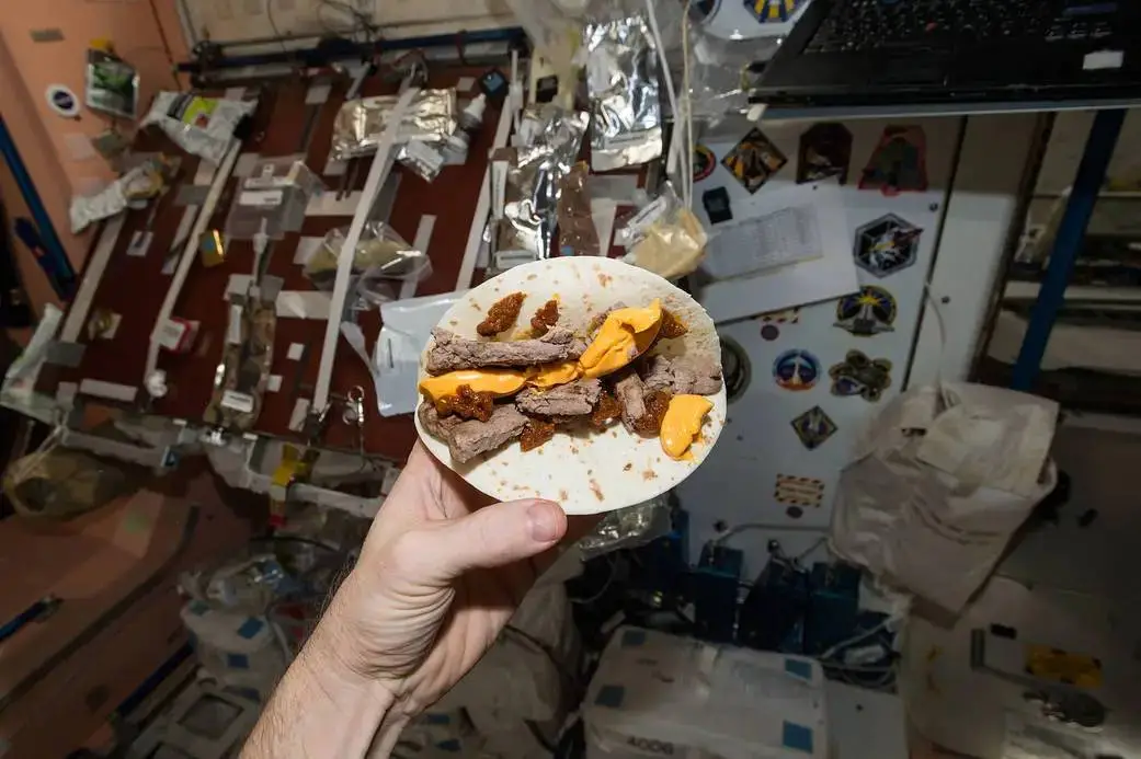You can't have bread on the ISS but you can have a 'space cheeseburger' (NASA)
