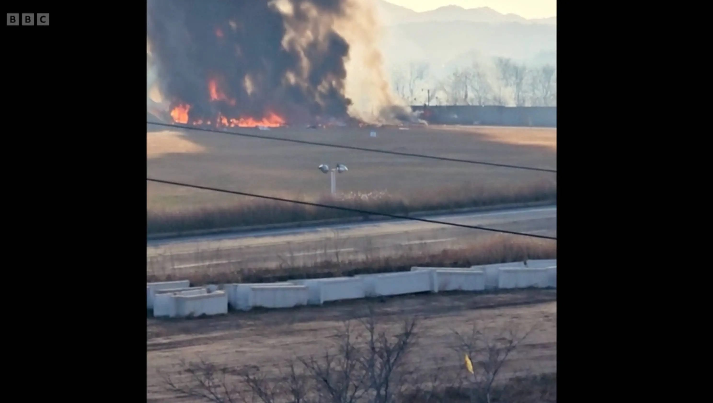 Only two people survived the Jeju Air Flight 2216 crash (BBC)