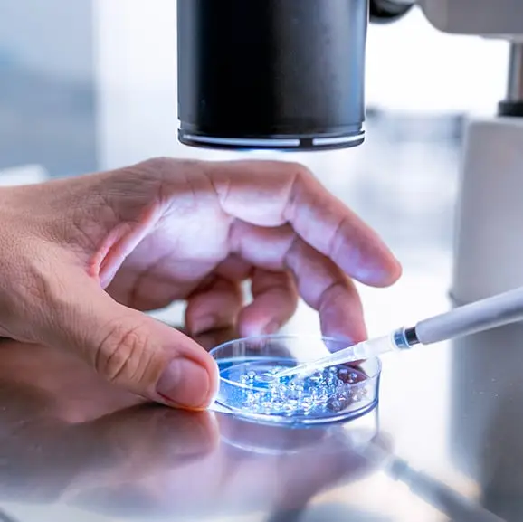 Carlos Duarte/kappaphoto/Getty