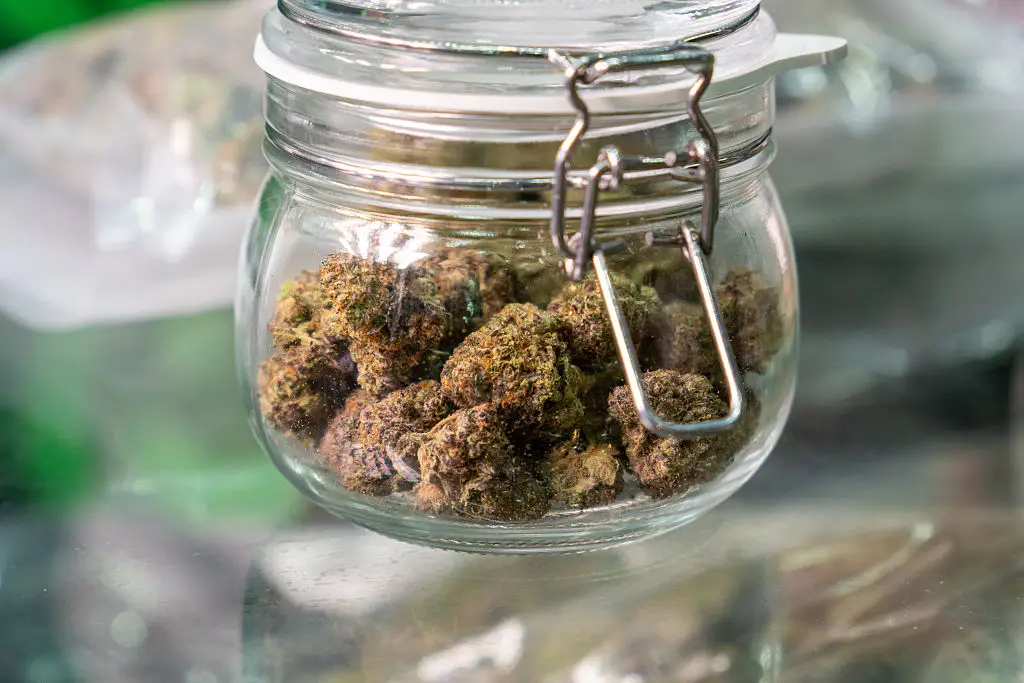 Scientists admitted they need to conduct more research (SOPA Images / Contributor / Getty)