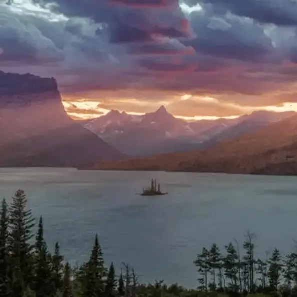 Photo man uploaded to internet ended up breaking people's Android phones worldwide