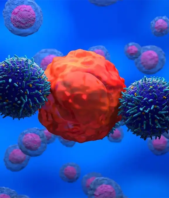 NEMES LASZLO/SCIENCE PHOTO LIBRARY / Getty