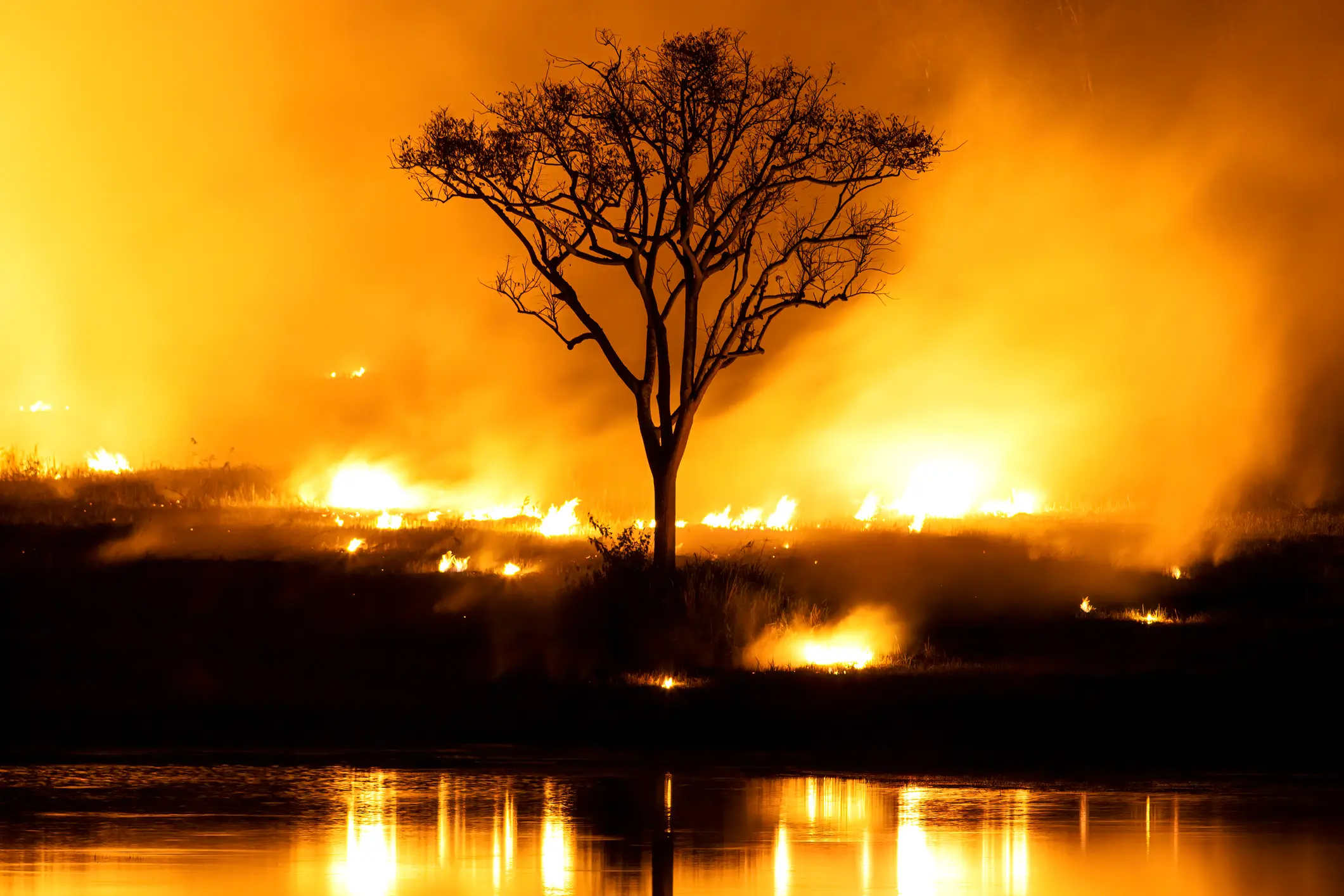 Climate change is speeding up the process (chuchart duangdaw/Getty Images)