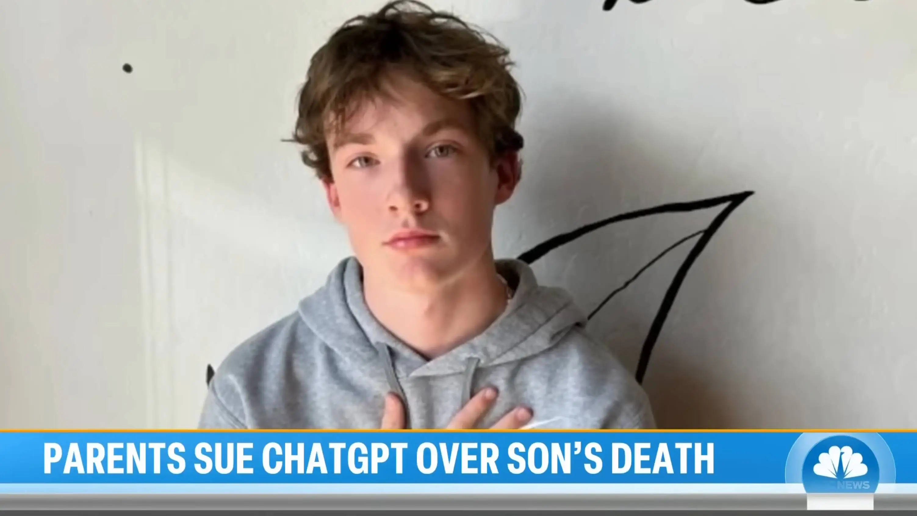 Raine's parents claim his death was preventable (Raine Family via TODAY YouTube)