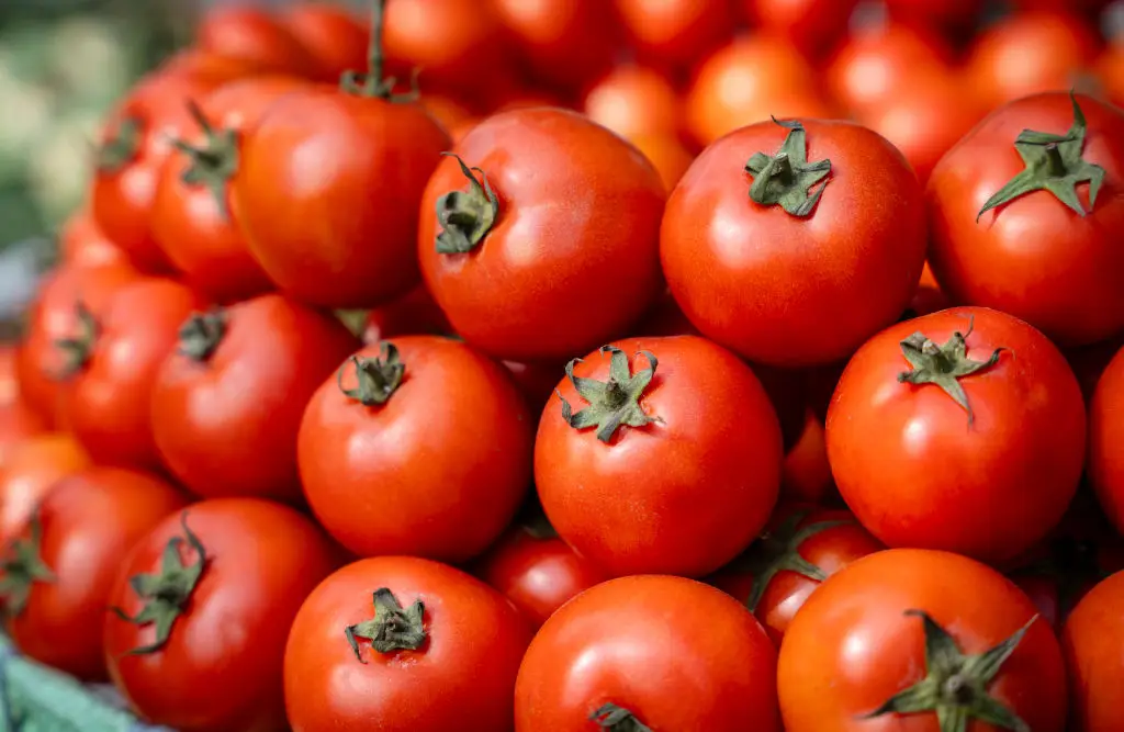 Paused tariffs on Mexico and Canada won't affect fruit and veg prices just yet, but the threat still remains in the future (David Talukdar/NurPhoto via Getty Images)
