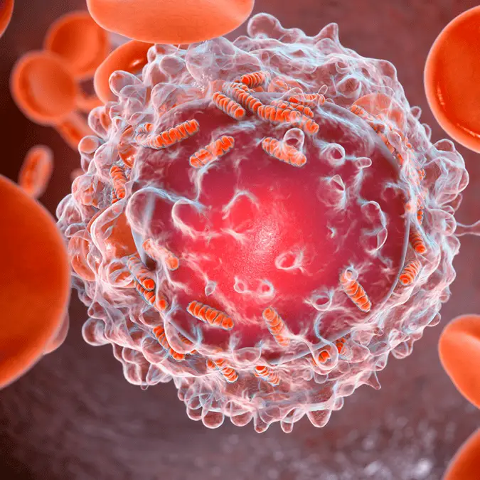 KATERYNA KON/SCIENCE PHOTO LIBRARY / Getty