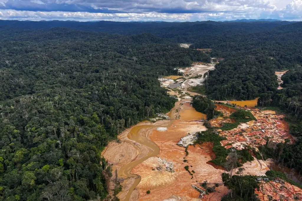 Reports indicate that the Amazon rainforest is expected to face a 'dry anomaly' which could significantly harm the climate (Alan Chaves/AFP via Getty Images)