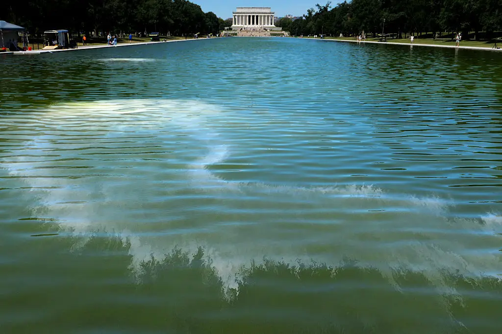 The Lincoln Memorial Reflecting Pool has turned green again (Chip Somodevilla/Getty Images)