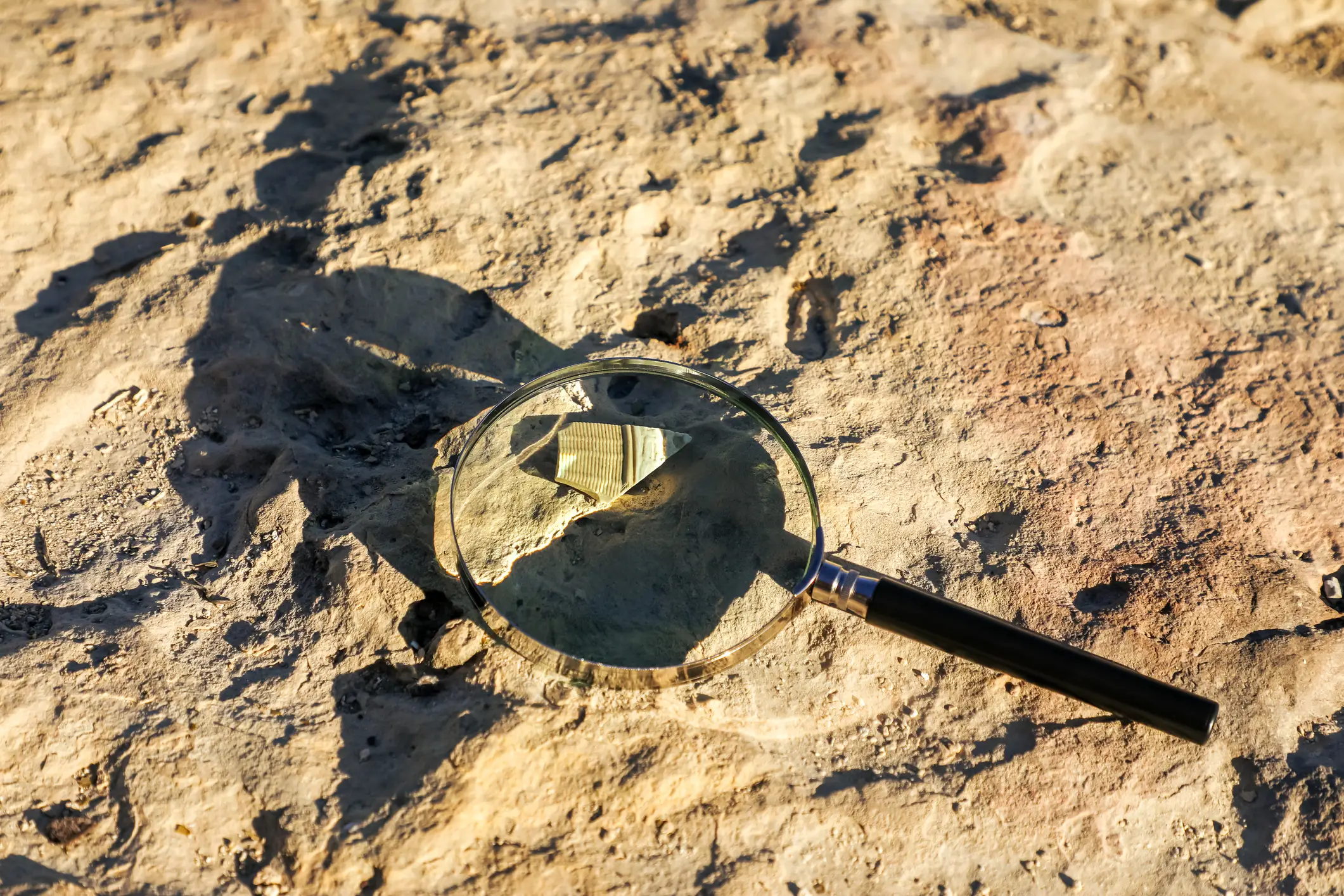 Professor Ron Shimelmitz described it as a 'privilege' to excavate a place of 'unique global importance' (Svitlana Onushko/Getty)
